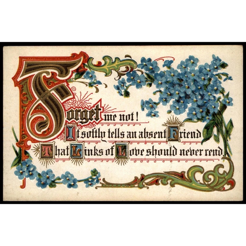 Vintage DivBack 1907-15 Forget Me Not Floral Embossed Postcard 5.5x3.5